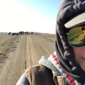 Meet your Posher, Bessie